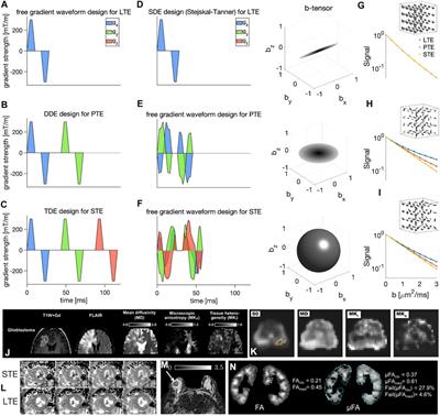 Quantification of Tissue Microstructure Using Tensor-Valued Diffusion Encoding: Brain and Body